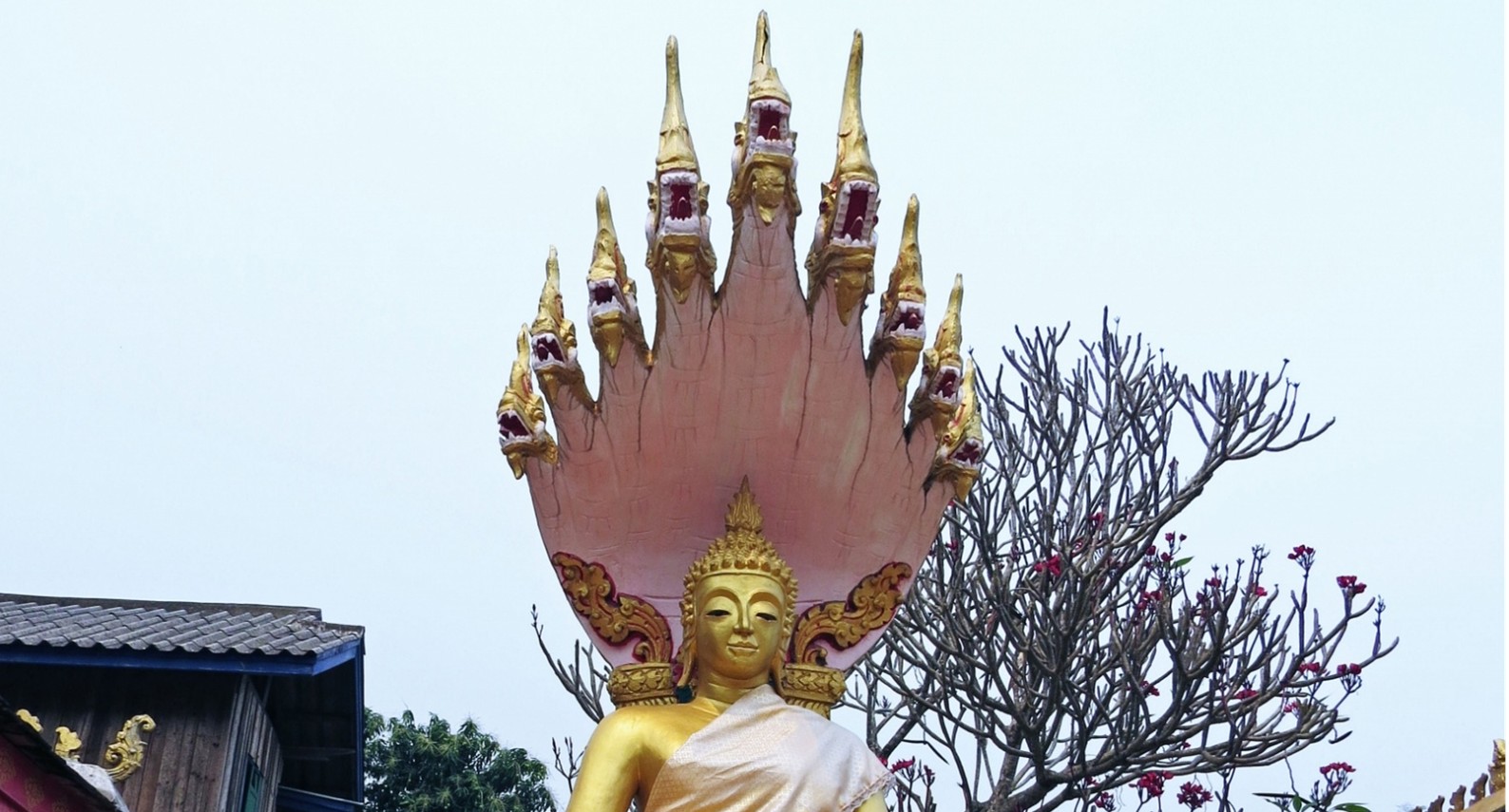 【4月のお話し】